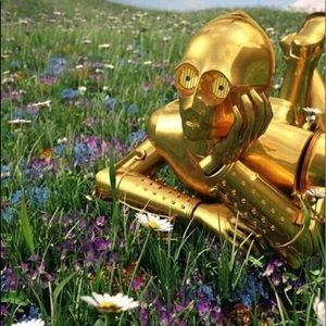 Meet your Posher, Harry